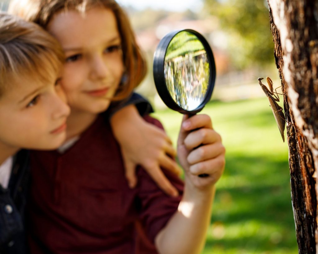two children looking at a grasshopper through a magnifying glass